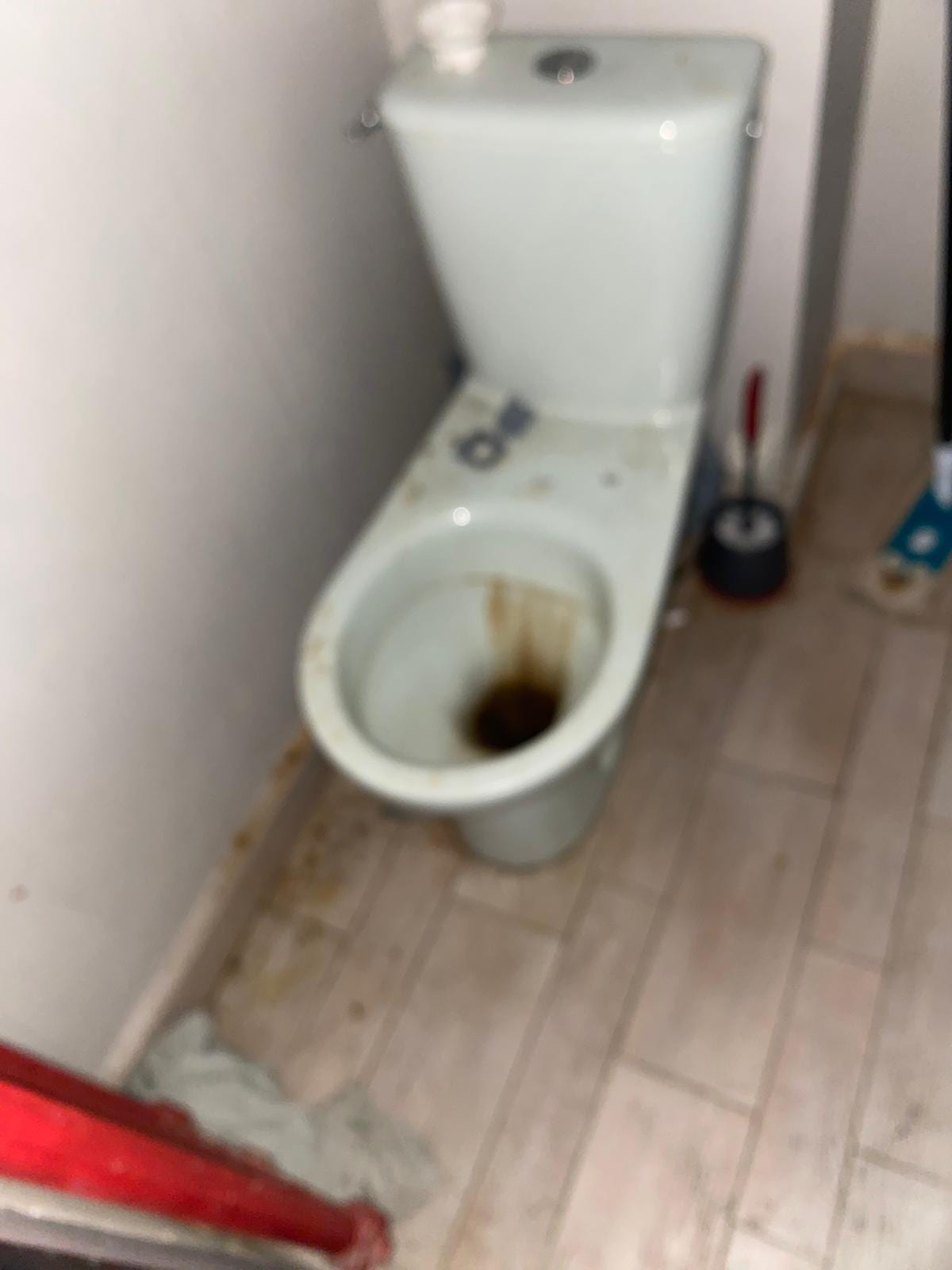 Sanitaires dégradés avant travaux